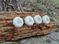PinHead Target and Range Pins